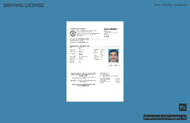 USA Minnesota Beispiel für einen temporären Führerschein